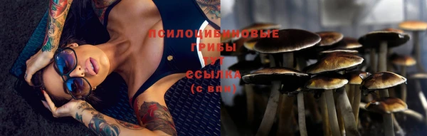 МДПВ Гусиноозёрск