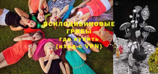 МДПВ Гусиноозёрск