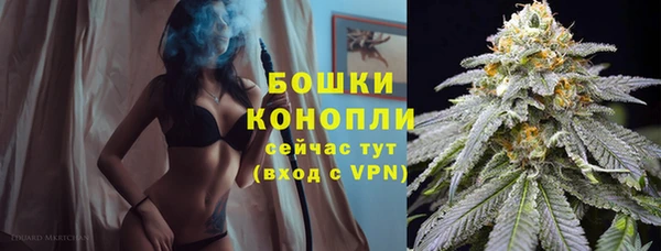 бошки Гусев