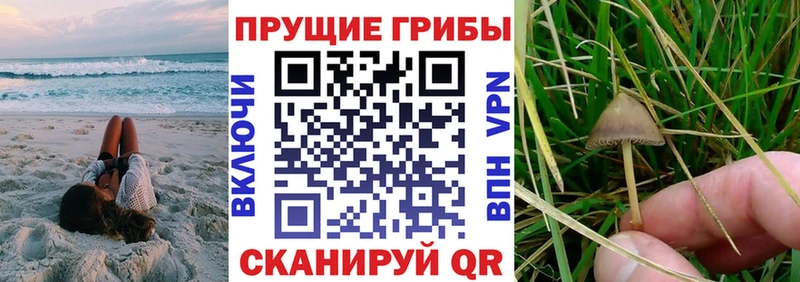 Псилоцибиновые грибы ЛСД  hydra ссылка  Димитровград 